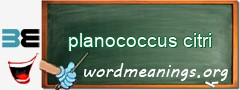 WordMeaning blackboard for planococcus citri